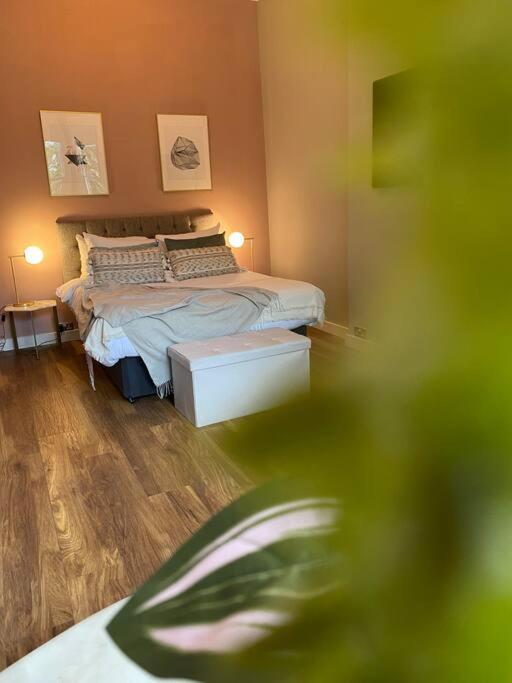 Stylish Studio For 3 Near Regents Park N4 Londýn Exteriér fotografie