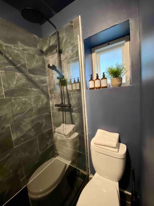 Stylish Studio For 3 Near Regents Park N4 Londýn Exteriér fotografie